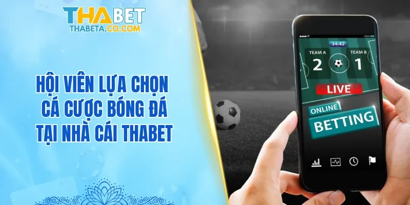 Thể Thao 3 Nhiều hội viên lựa chọn cá cược bóng đá ở THABET